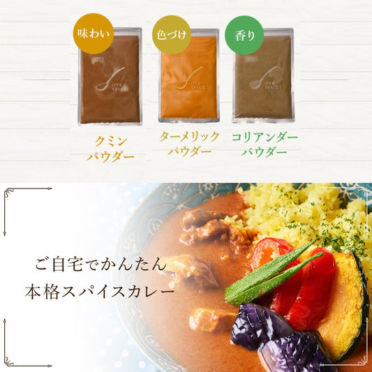D'sTs スパイス カレー ターメリック クミンパウダー コリアンダーパウダー カレー粉 無添加 100g 3種セット