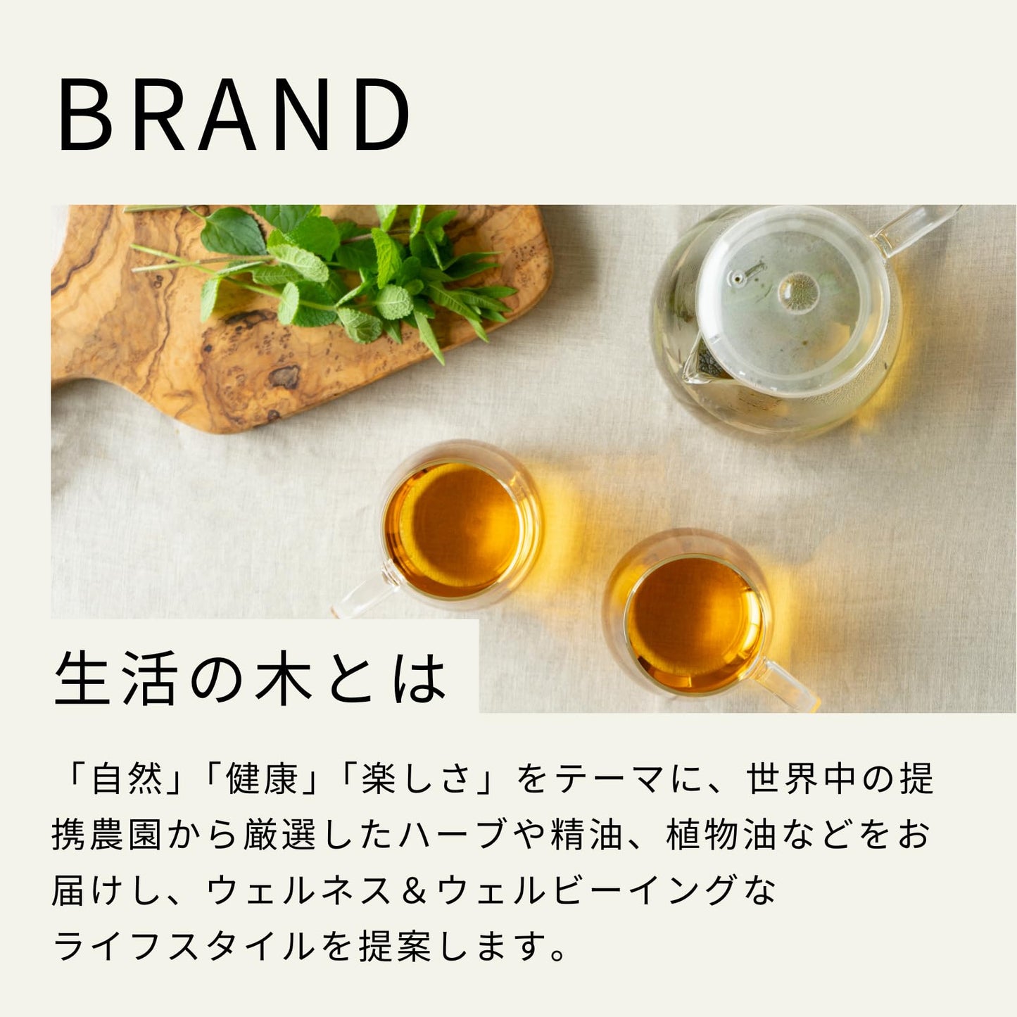 生活の木 おいしいハーブティー マヌカハニージンジャー ティーバッグ ノンカフェイン (30個入)