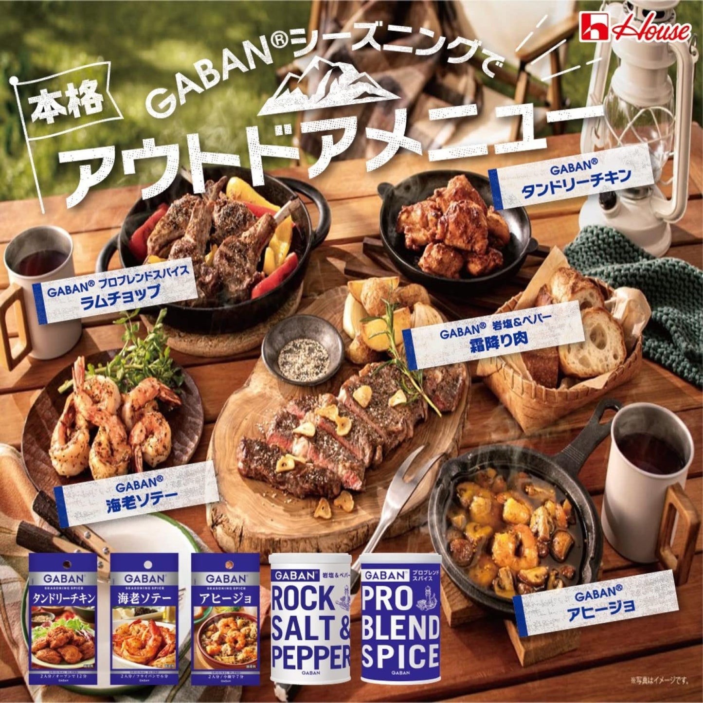 GABAN(ギャバン) ハウス プロブレンドスパイス 60g×2個