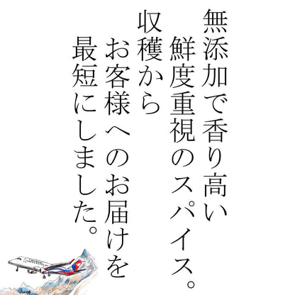 JEAU CHAU スパイス セット 3種類 (カルダモン クローブ シナモン / 各50g) 選別品 香辛料 無添加 お試し ギフト