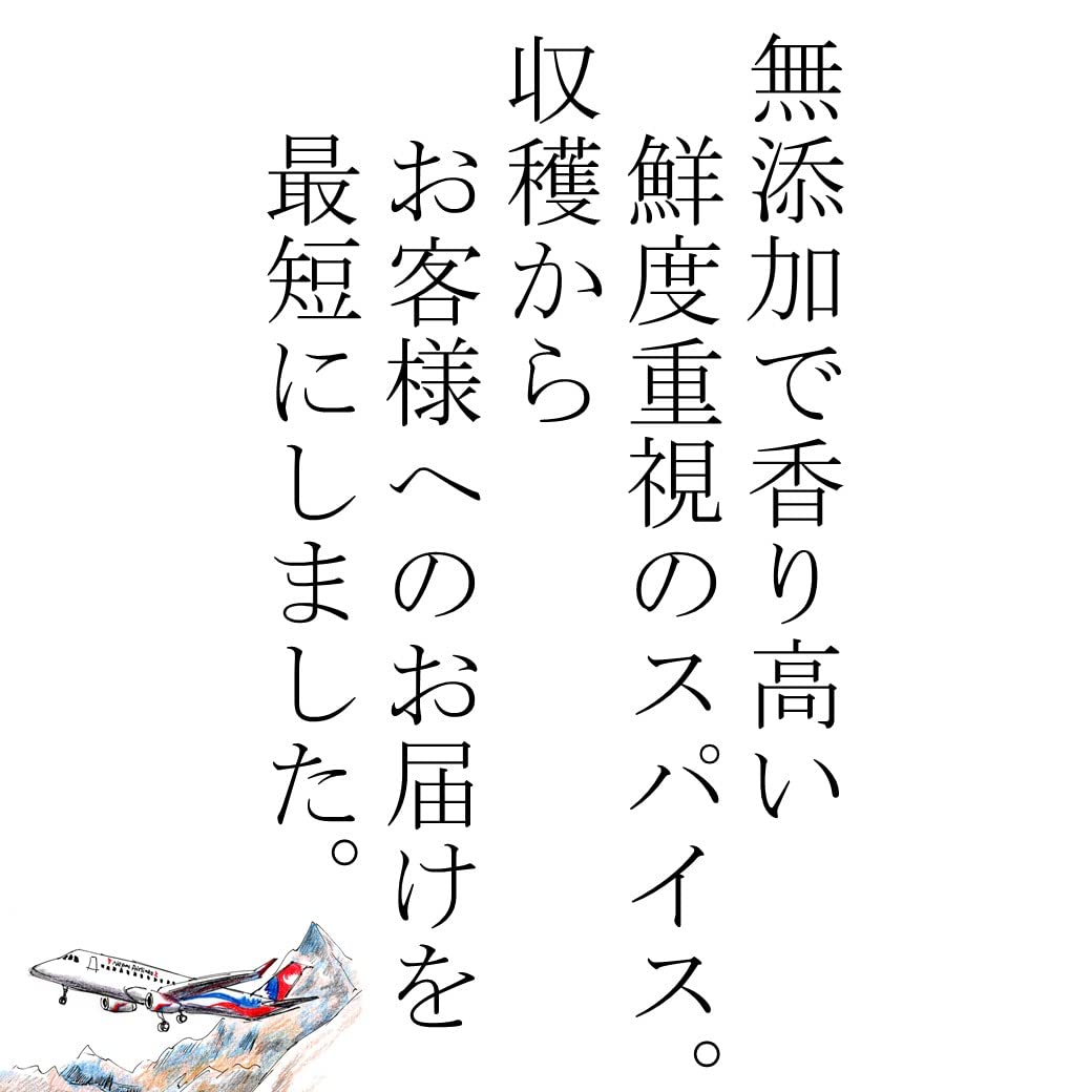 JEAU CHAU カレー スパイス セット 5種類 (クミンパウダー ターメリックパウダー コリアンダーパウダー クミンシード チリパウダー / 各100g) 基本のスパイス 選別品 香辛料/無添加