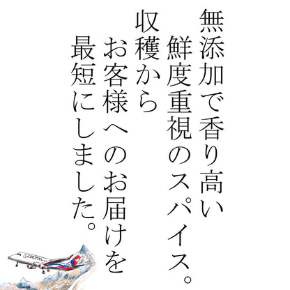 JEAU CHAU カレー スパイス セット 5種類 (クミンパウダー ターメリックパウダー コリアンダーパウダー クミンシード チリパウダー / 各100g) 基本のスパイス 選別品 香辛料/無添加