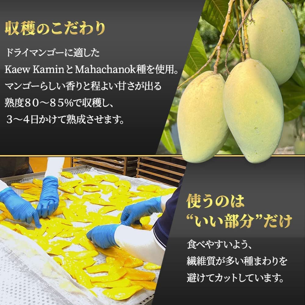 アイリスプラザ(IRIS PLAZA) 完熟 ドライマンゴー 450g [プレミアム] 大容量 手のひらサイズ 砂糖ひかえめ タイ産 ドライフルーツ