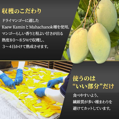 アイリスプラザ(IRIS PLAZA) 完熟 ドライマンゴー 450g [プレミアム] 大容量 手のひらサイズ 砂糖ひかえめ タイ産 ドライフルーツ