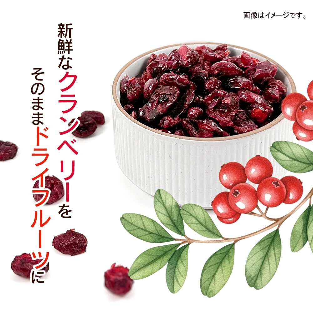 クランベリー 1kg 香料・保存料不使用（ドライフルーツ クランベリージュース クランベリーソース パン作り お菓子作り）便利なアルミチャック付袋 防災食品 非常食 備蓄食 保存食