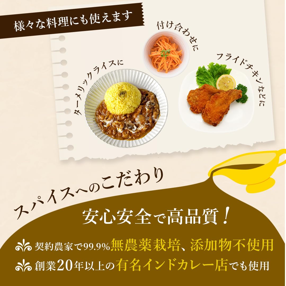 D'sTs スパイス カレー ターメリック クミンパウダー コリアンダーパウダー カレー粉 無添加 100g 3種セット