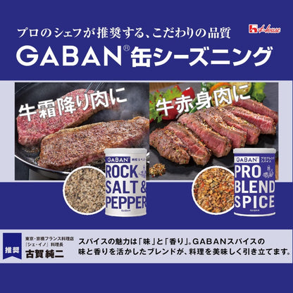 GABAN(ギャバン) ハウス プロブレンドスパイス 60g×2個
