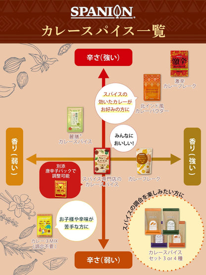 SPANION カレー スパイス 4種セット ターメリック クミン コリアンダー スパイスマサラ パウダー 各種セット
