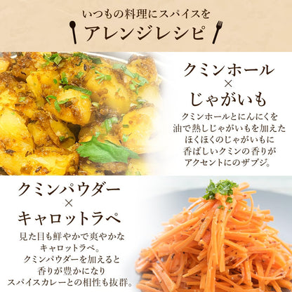 D'sTs スパイス カレー ターメリック クミンパウダー コリアンダーパウダー カレー粉 無添加 100g 3種セット