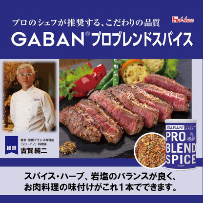 GABAN(ギャバン) ハウス プロブレンドスパイス 60g×2個
