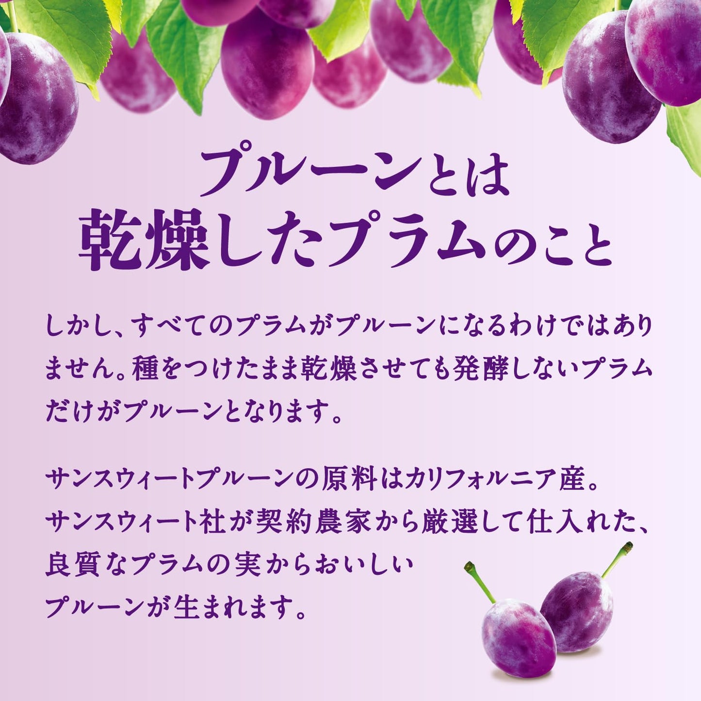 ポッカサッポロ サンスウィート プルーン チャック付 240g