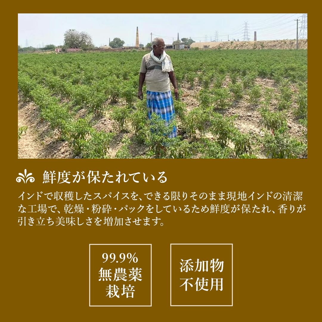 D'sTs スパイス カレー ターメリック クミンパウダー コリアンダーパウダー カレー粉 無添加 100g 3種セット