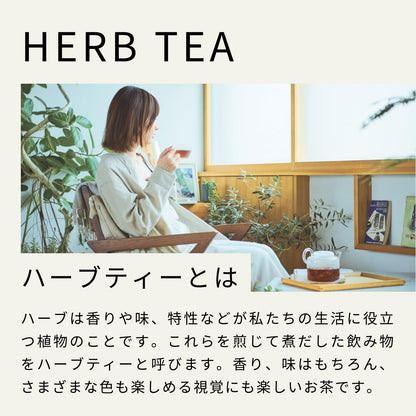 生活の木 おいしいハーブティー マヌカハニージンジャー ティーバッグ ノンカフェイン (30個入)
