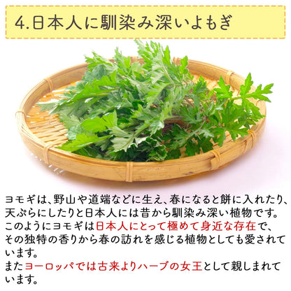 Honjien tea よもぎ茶 国産 ティーバッグ 大容量 健康茶 3g×50包 ヨモギ茶 蓬茶 ノンカフェイン