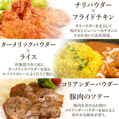 D'sTs スパイス カレー ターメリック クミンパウダー コリアンダーパウダー カレー粉 無添加 100g 3種セット