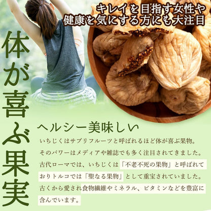 イチジク ドライイチジク 無添加 砂糖不使用 トルコ産 大粒 いちじく 1kg ドライフルーツ 高地栽培 大浜スイーツアカデミー