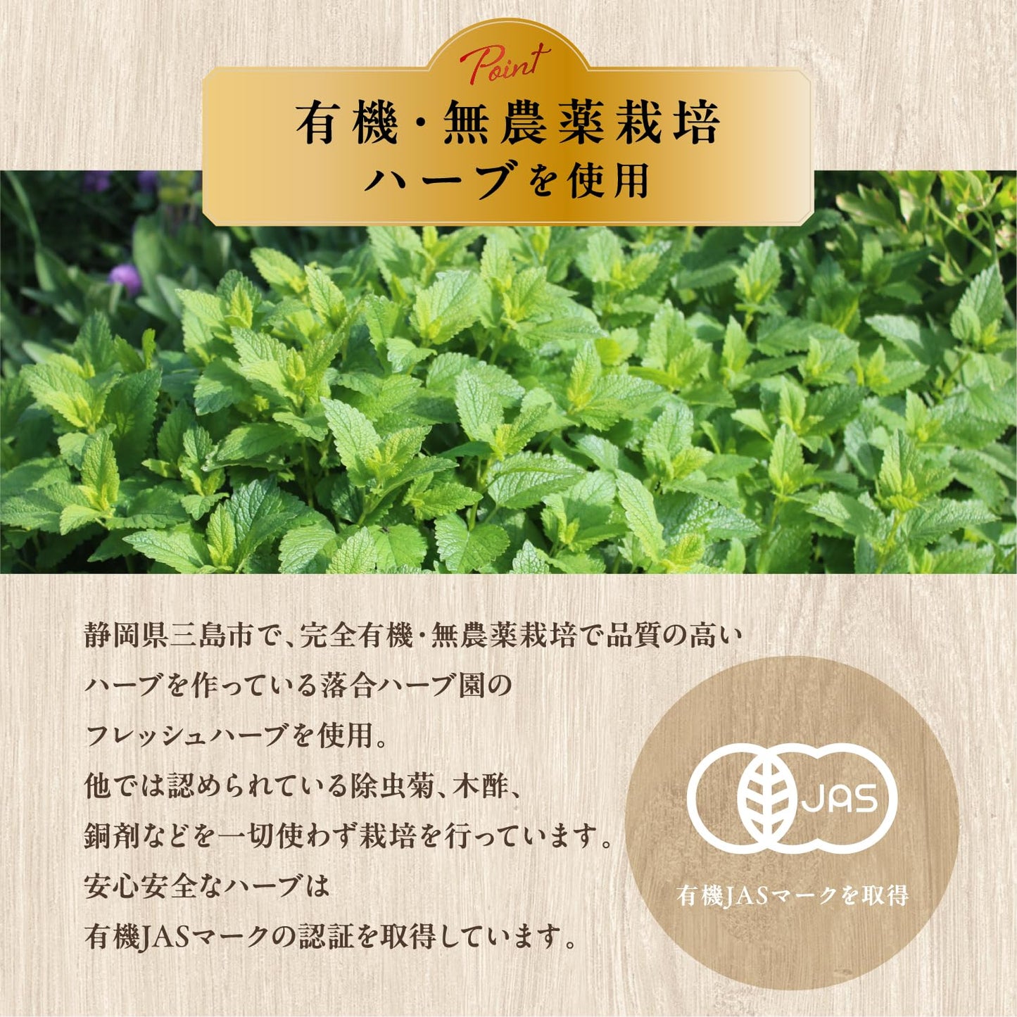 サーフビバレッジ オーガニック フレッシュハーブティー 350ml×24本