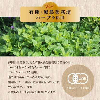 サーフビバレッジ オーガニック フレッシュハーブティー 350ml×24本