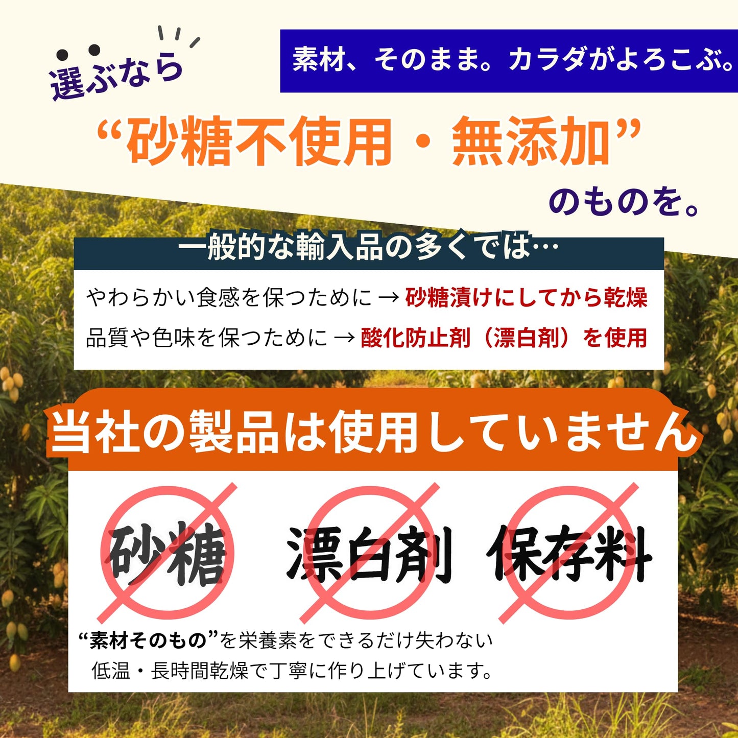 管理栄養士監修 ドライフルーツ 砂糖不使用 無添加 無漂白 オイル不使用 7種の果実 ドライフルーツミックス 250g x 1袋 ドライマンゴー パイナップル バナナ レーズン グリーンレーズン クコの実 インカベリー Key Collect フルーツミックス250x1P