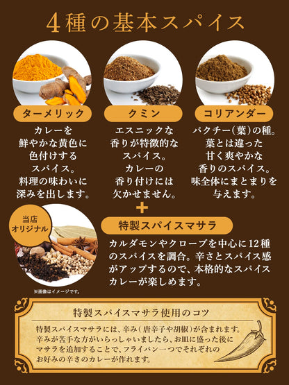 SPANION カレー スパイス 4種セット ターメリック クミン コリアンダー スパイスマサラ パウダー 各種セット