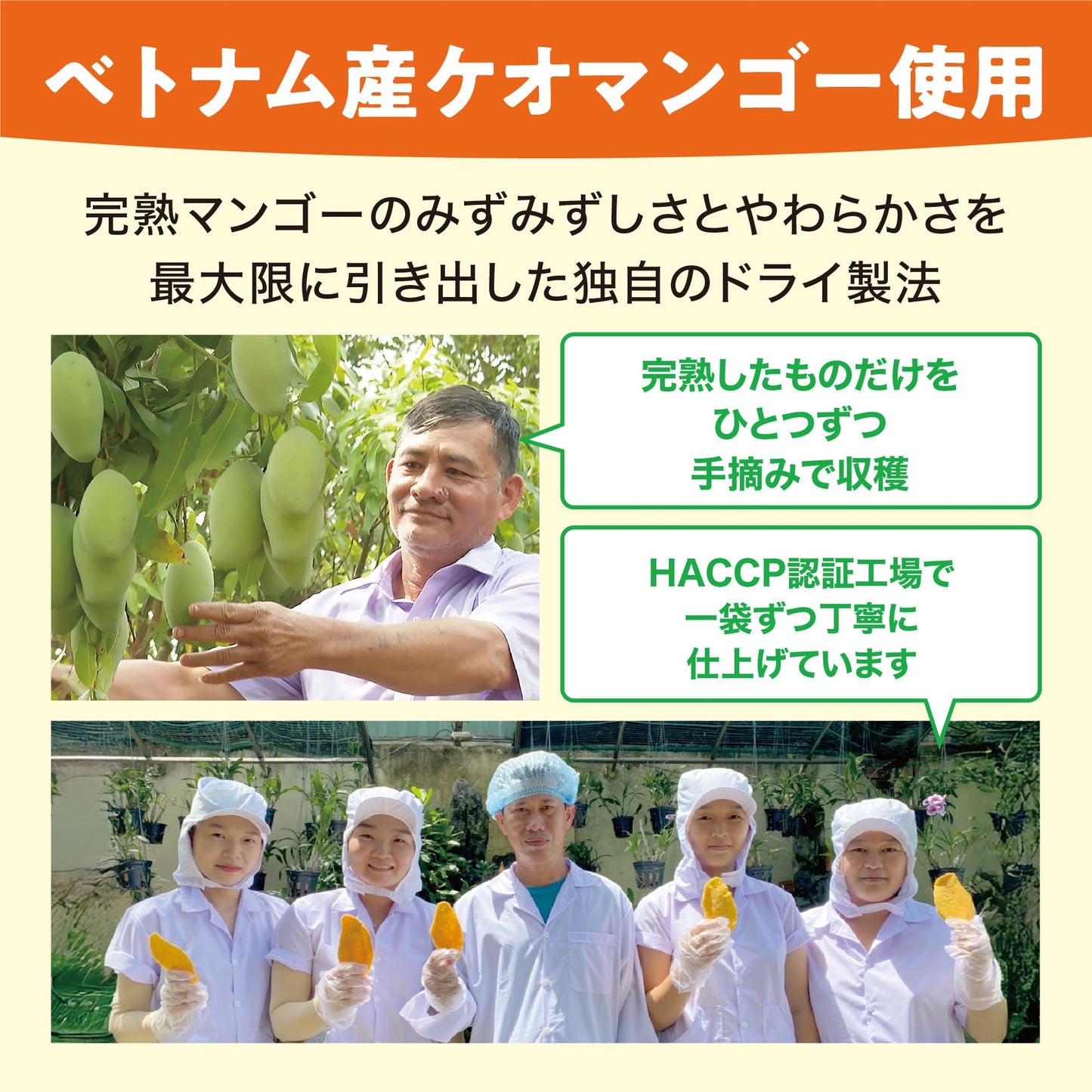 極め ドライマンゴー [ 50g×2袋 ] 無添加 ドライフルーツ 砂糖不使用 無漂白 (防腐剤・保存料不使用)
