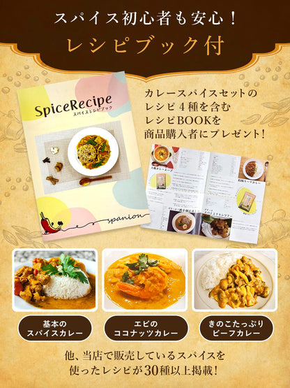 SPANION カレー スパイス 4種セット ターメリック クミン コリアンダー スパイスマサラ パウダー 各種セット